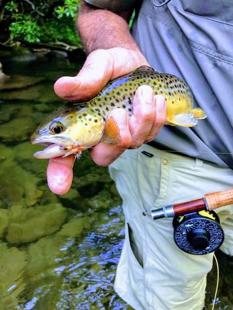 A man holding a fish in hand while fishing