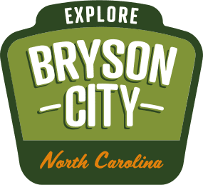 logo (1)